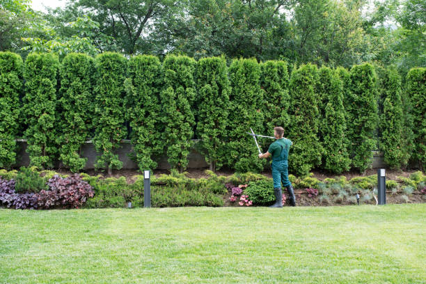 Best Aeration Services  in Riesel, TX